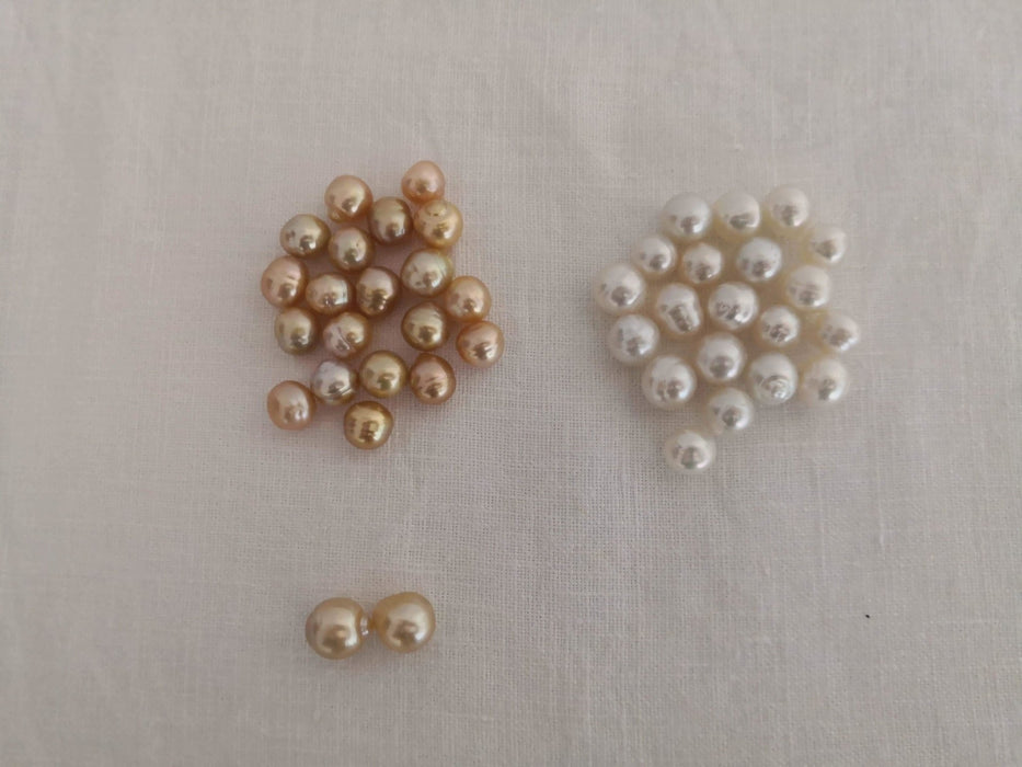 Loose Pearl Order Laurie Golden Color - Only at  The South Sea Pearl