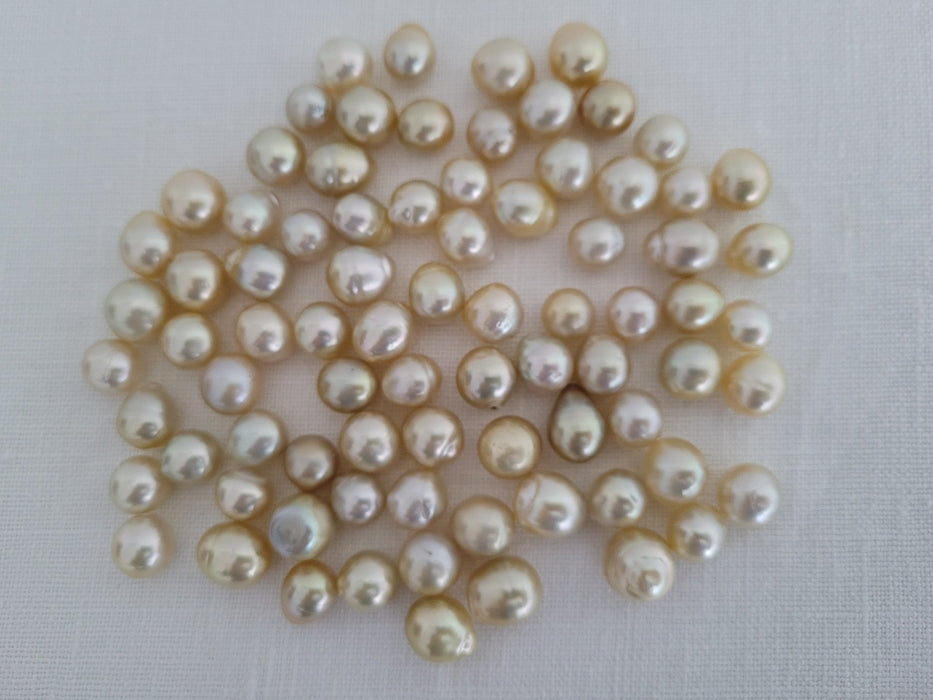 Loose South Sea Pearls Teardrop 10-12 Natural Color - Only at  The South Sea Pearl