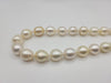 South Sea Pearls 10-12 m Natural Color and High Luster - Only at  The South Sea Pearl