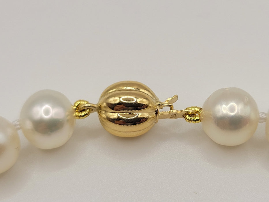South Sea Pearls 11-14 mm Natural Color and High Luster - Only at  The South Sea Pearl