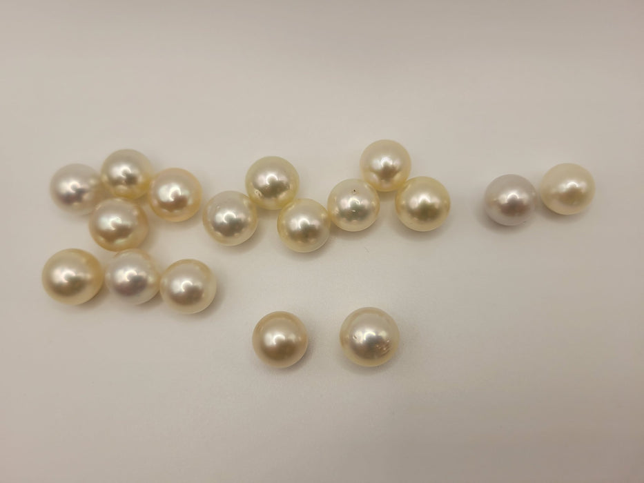 South Sea Pearls 11 mm Natural and High Luster wholesale Lot - Only at  The South Sea Pearl