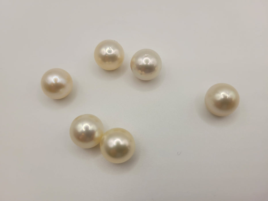 South Sea Pearls 13 mm Natural Color and High Luster - Only at  The South Sea Pearl