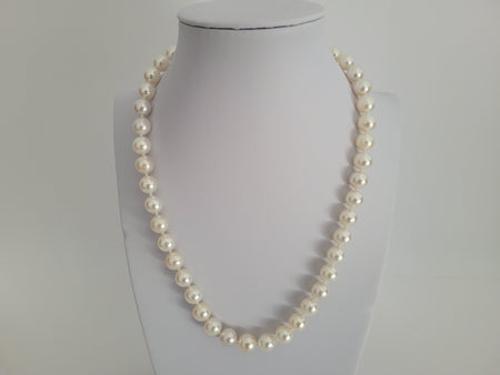South Sea Pearls 8.80-9 mm Round High Luster, 18 Karat Gold Clasp - Only at  The South Sea Pearl