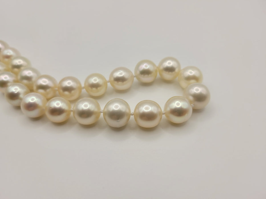 South Sea Pearls 9.60-12 mm Round Very High Luster, 18 Karat Gold - Only at  The South Sea Pearl