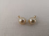 South Sea Pearls Earrings, 12 mm Round, Golden Color 14 Karats - Only at  The South Sea Pearl