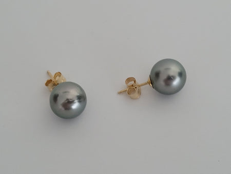 Tahitian Pearl Earrings 9 mm Round 18 Karat Gold with Certificate of Authenticity - Only at  The South Sea Pearl