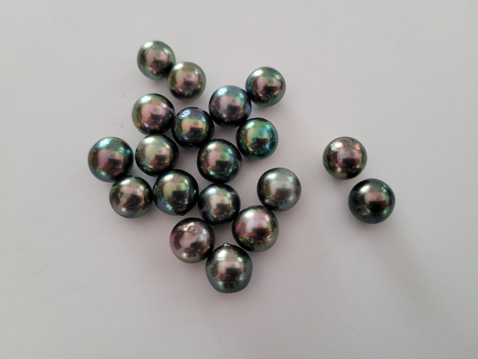 Tahiti Pearls Peacok Color 10 mm High Luster. Wholesale Lot 19 pcs - Only at  The South Sea Pearl