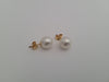 White South Sea Pearl Earrings 8.80 mm 18 Karat Solid Gold - Only at  The South Sea Pearl