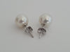 White South Sea Pearl Earrings 9-10 mm White Color Stud Earrings - Only at  The South Sea Pearl