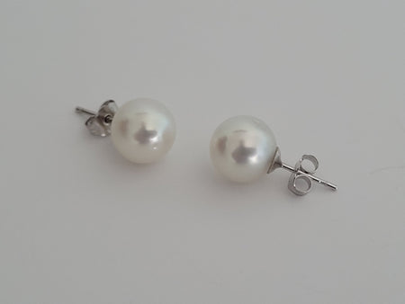 White South Sea Pearl Earrings 9-10 mm White Color Stud Earrings - Only at  The South Sea Pearl
