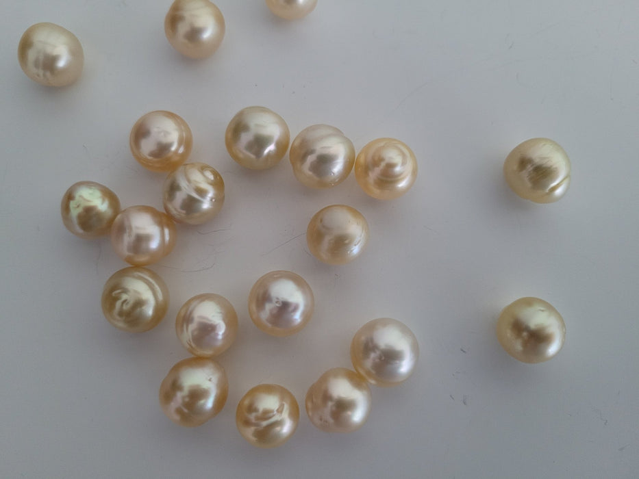 Wholesale Lot 20 pieces South Sea Pearls 11 mm Natural Color and High Luster - Only at  The South Sea Pearl