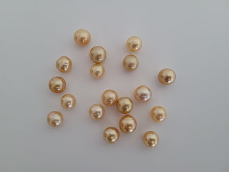 Wholesale Lot Golden South Sea Pearls 8-10 mm 18 pieces Round - Only at  The South Sea Pearl
