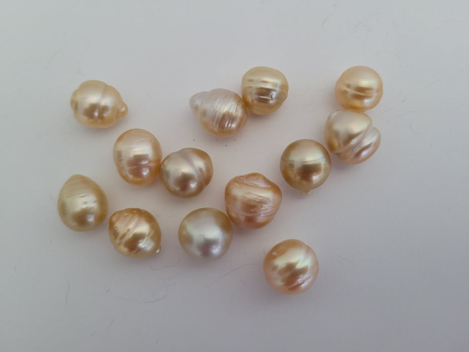 Wholesale Lot South Sea Pearls 10-11 mm 13 pieces,  Natural Golden Color - Only at  The South Sea Pearl