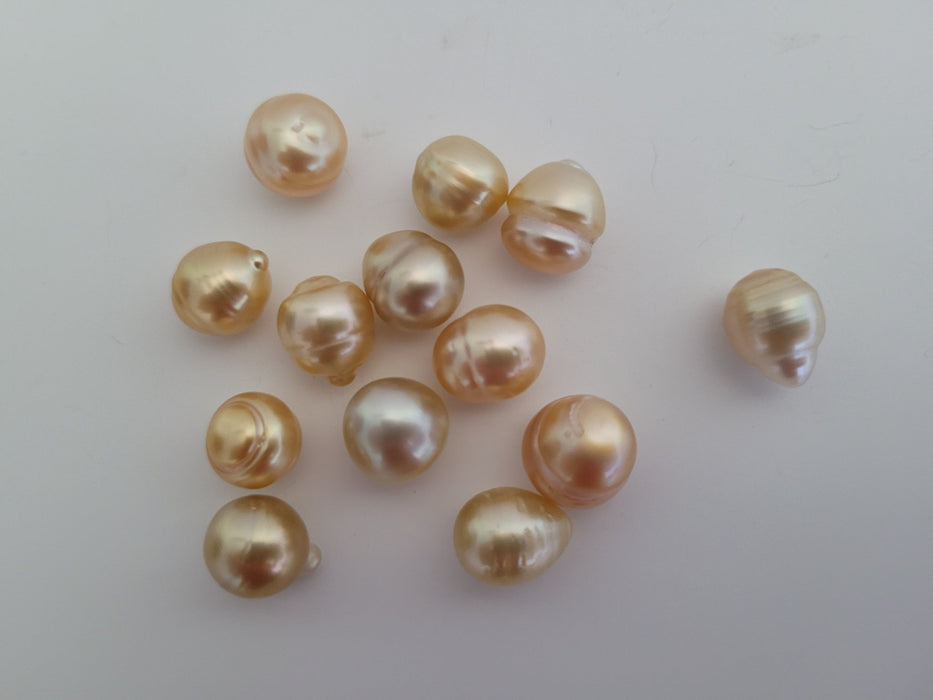 Wholesale Lot South Sea Pearls 10-11 mm 13 pieces,  Natural Golden Color - Only at  The South Sea Pearl