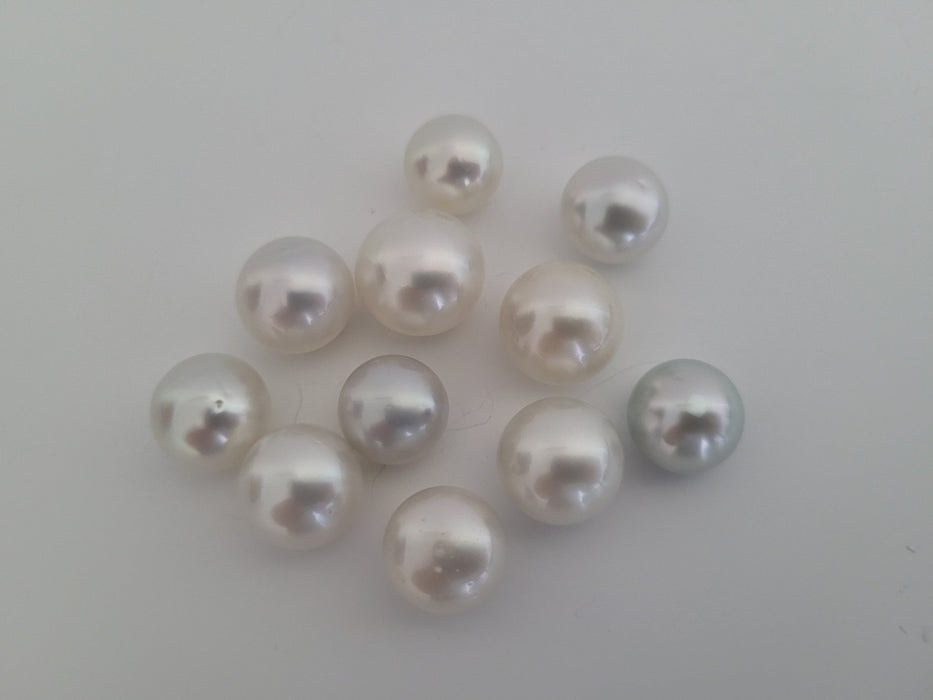 Wholesale Lot South Sea Pearls 11-14  mm High Luster - Only at  The South Sea Pearl