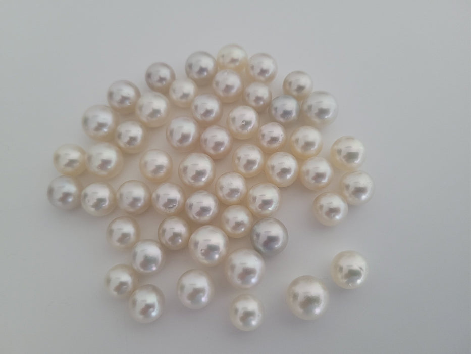 South sea pearls wholesale store